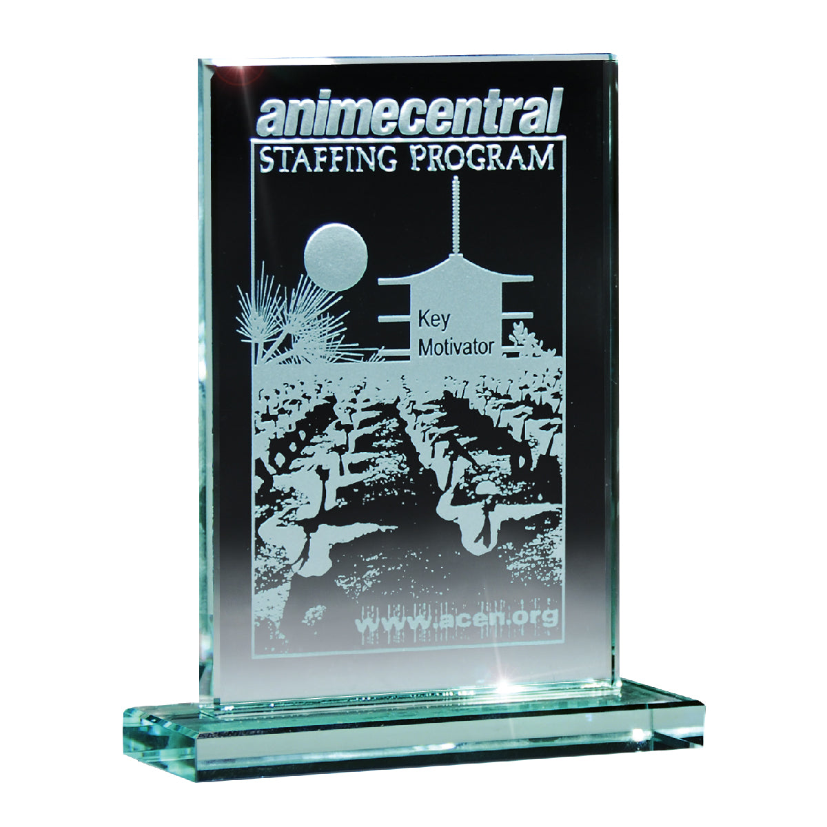 Custom logo Medium Glass Award