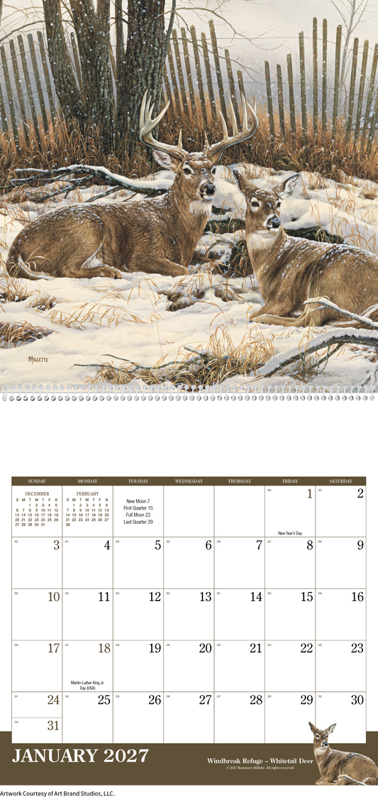 Wildlife Art Calendar