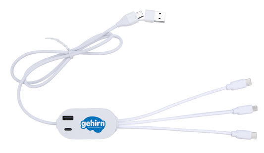 Custom logo DualLink Charging Cable 2A with USB Hub