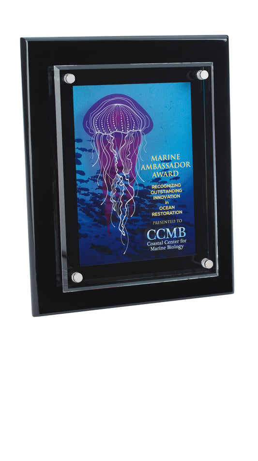 Floating Glass Plaque - 8" x 10"