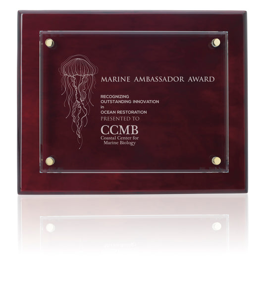 Floating Glass Plaque - 8" x 10"