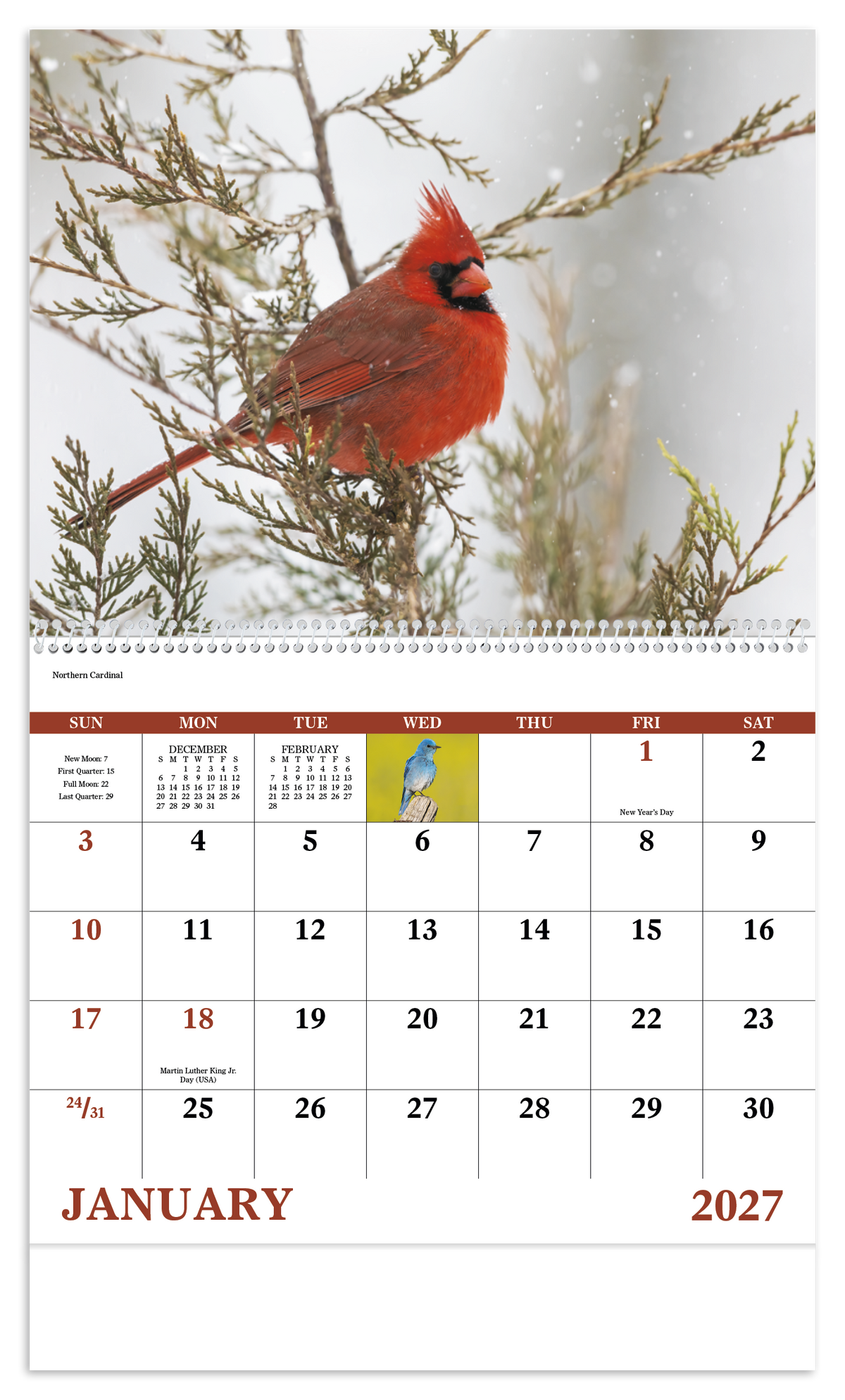 Custom logo Birds of North America - Spiral Calendar