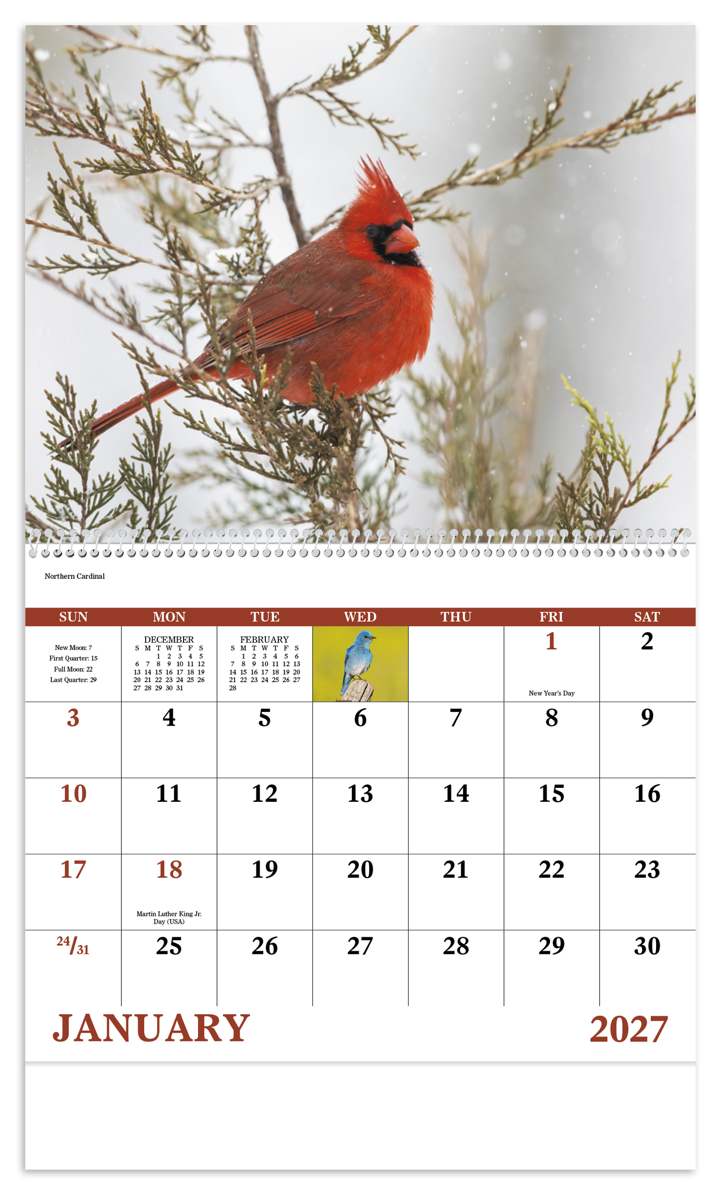 Birds of North America - Spiral Calendar