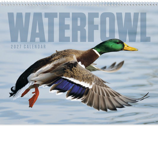 Waterfowl - Spiral Calendar