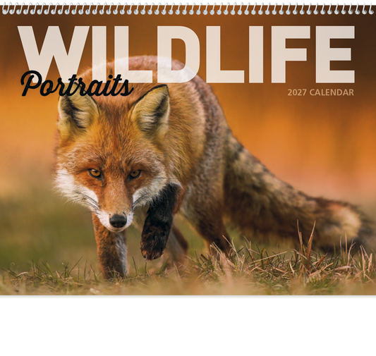 Wildlife Portraits - Spiral Calendar