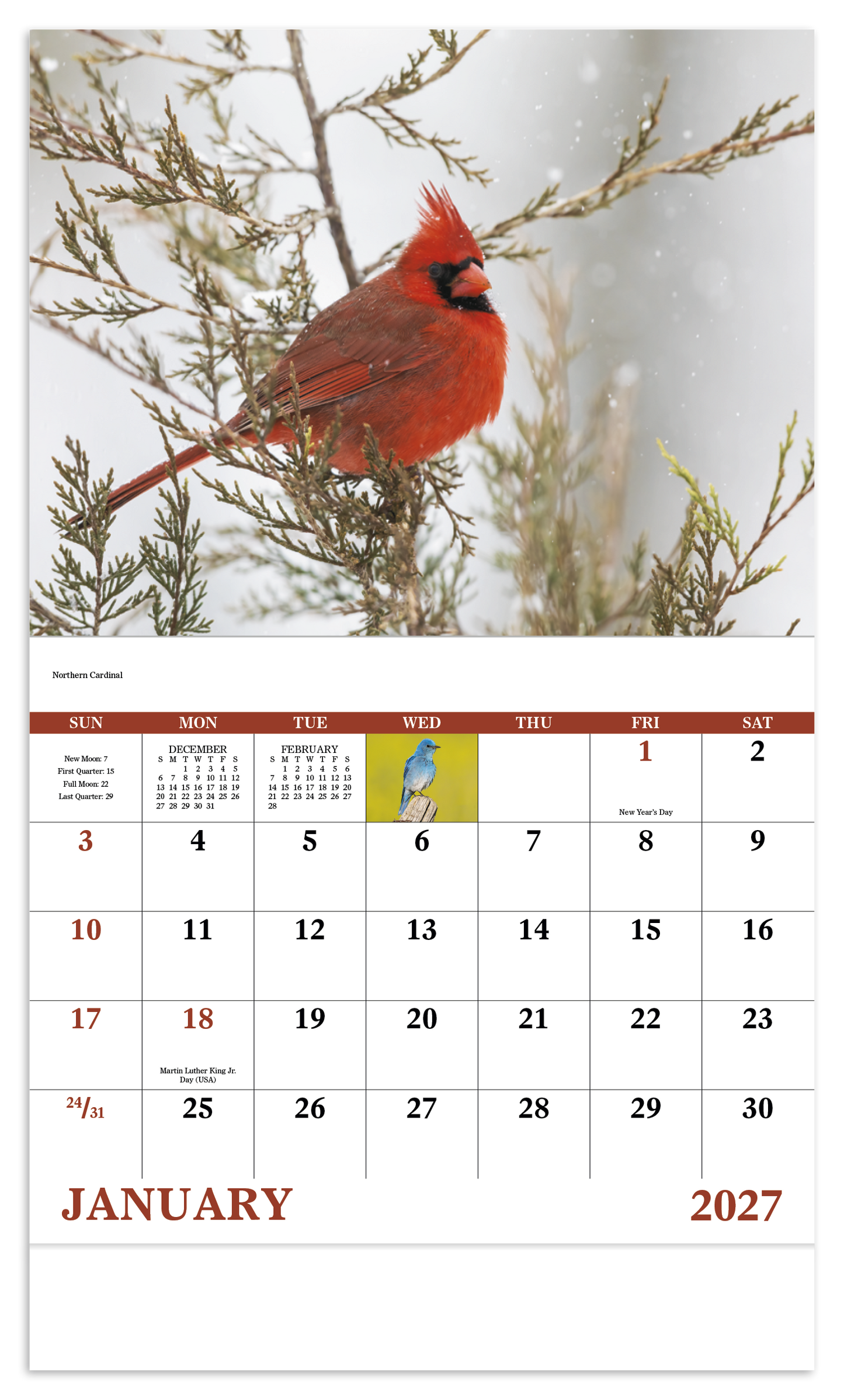 Birds of North America - Stapled Calendar