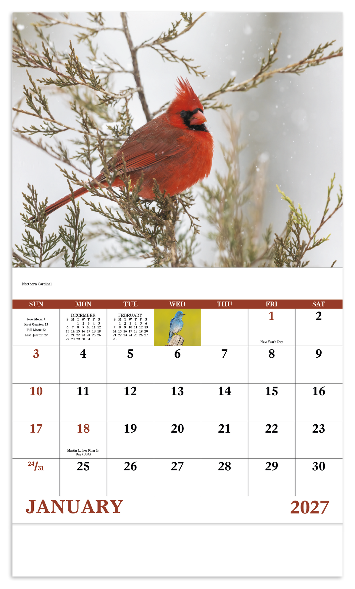 Custom logo Birds of North America - Stapled Calendar