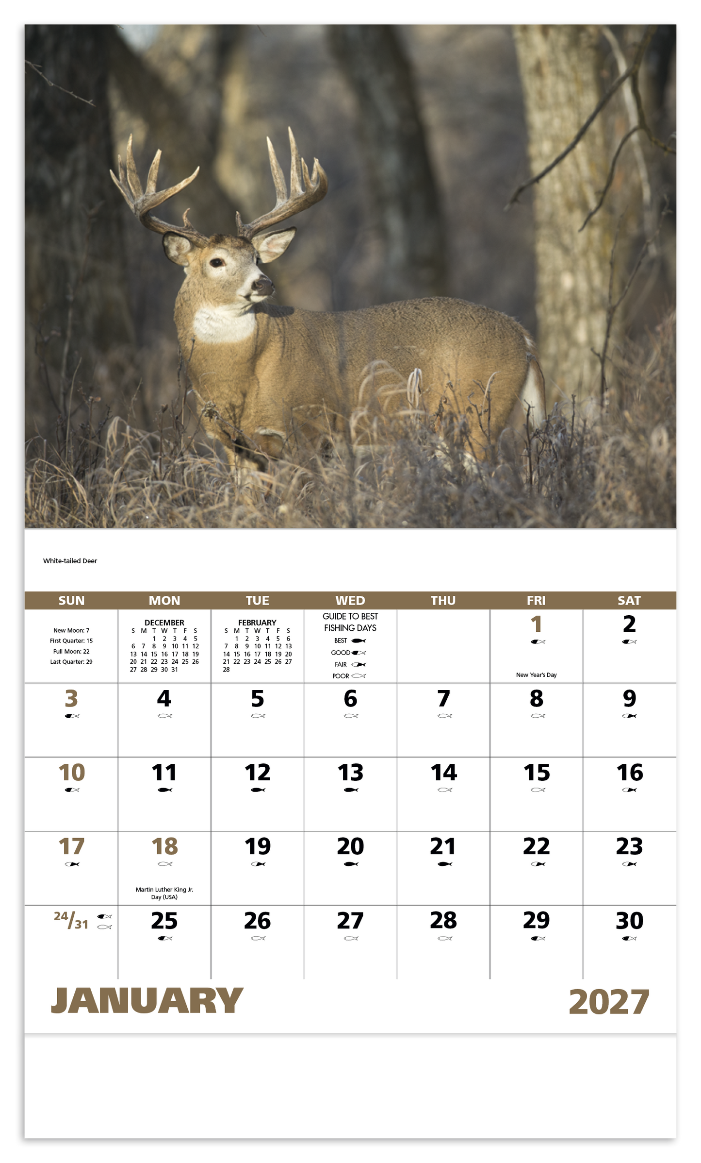 Wildlife Portraits - Stapled Calendar