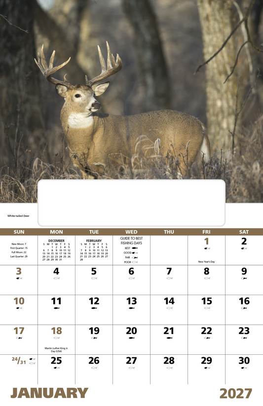 Wildlife Portraits - Window Calendar