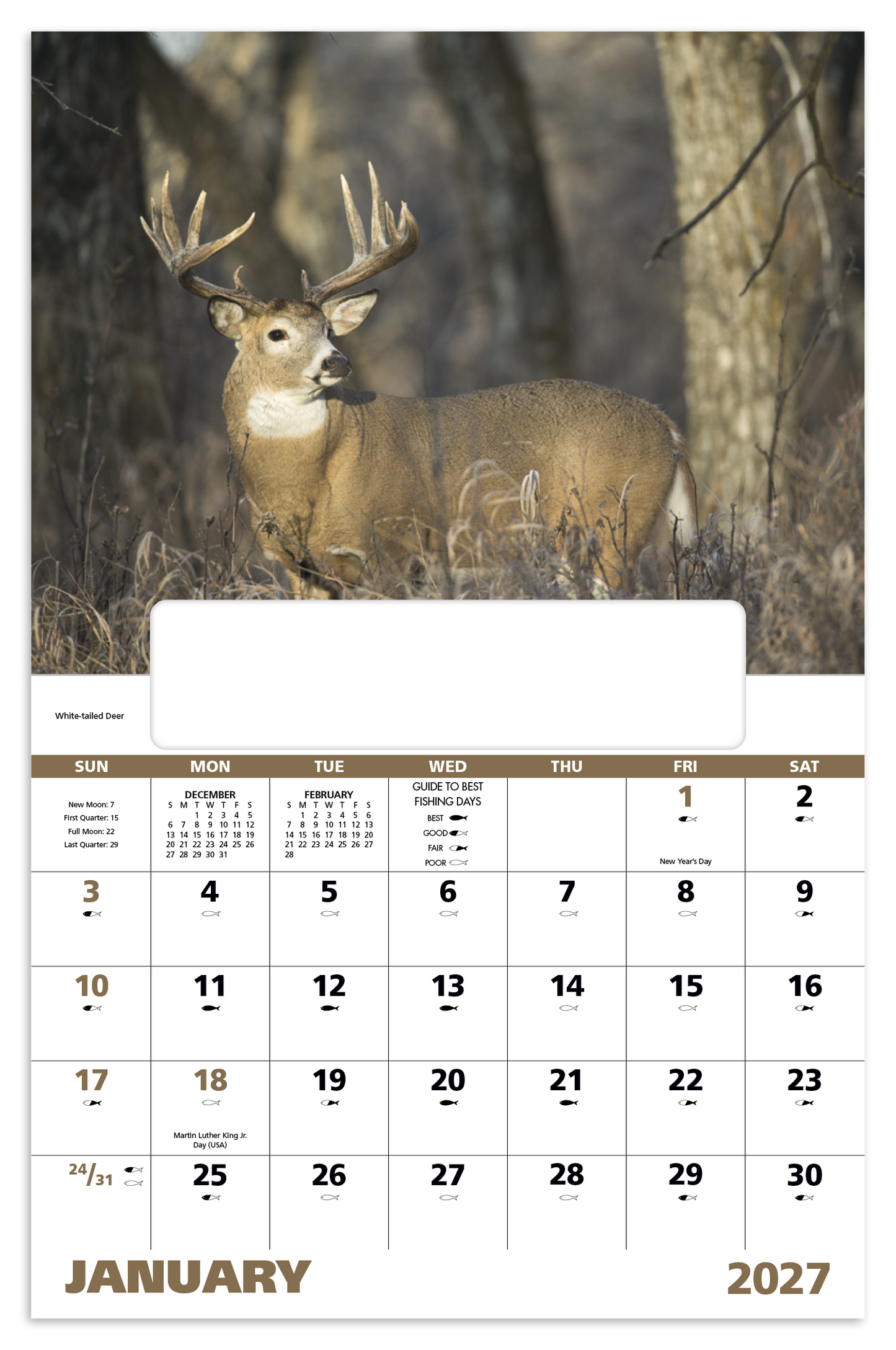 Wildlife Portraits - Window Calendar