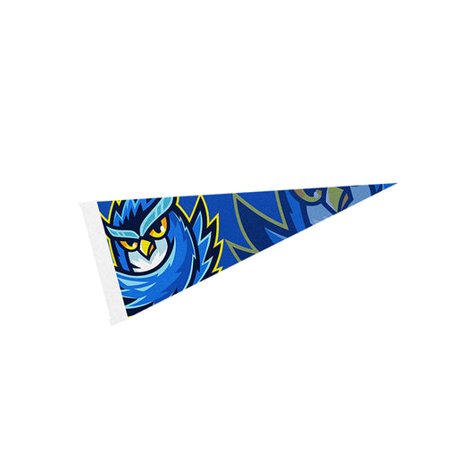 Custom logo 4" x 10" Pennant