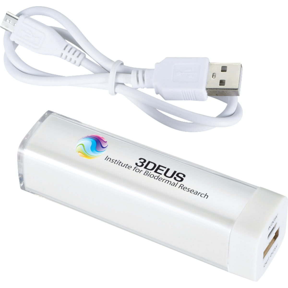 Custom logo Flash 2,200 mAh Power Bank