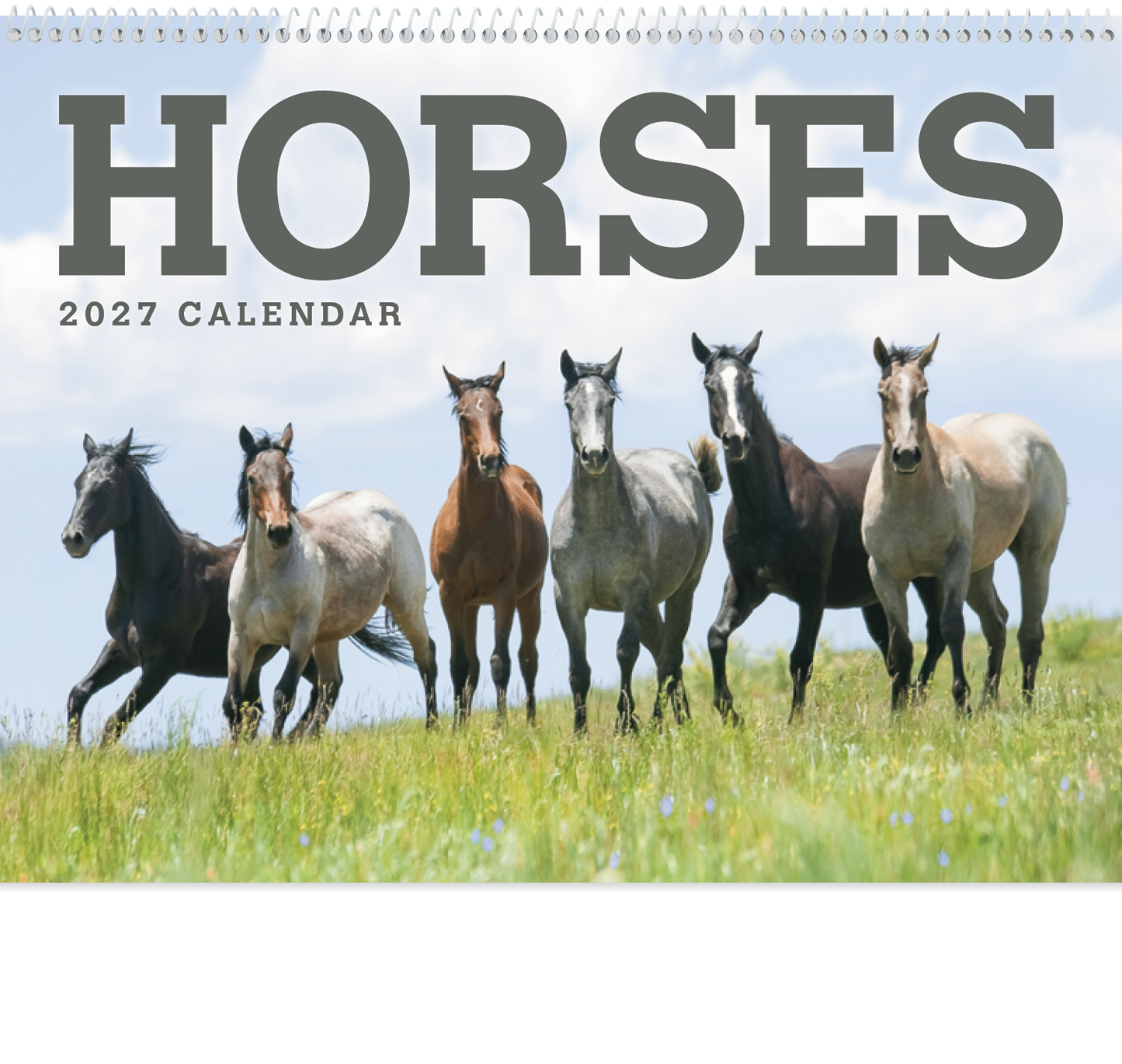 Horses Calendar