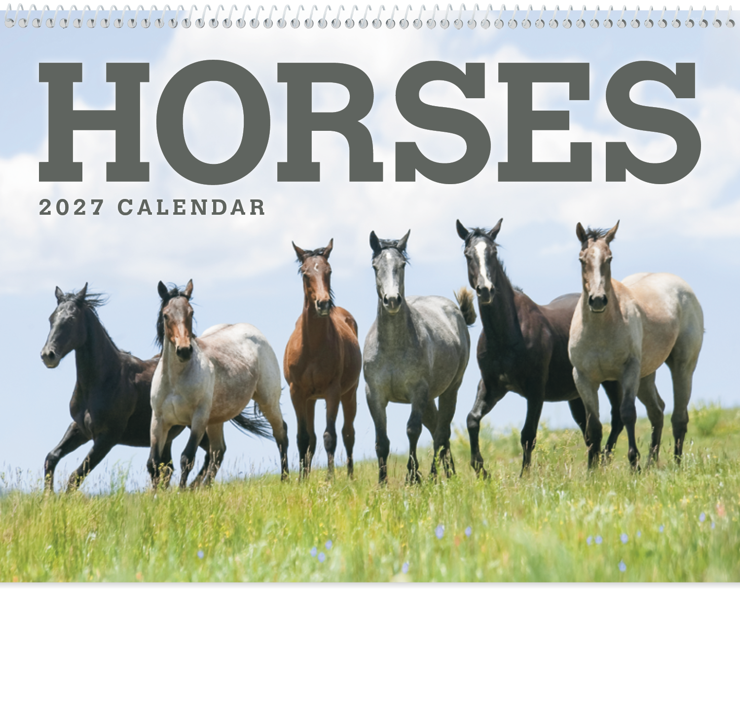 Horses Calendar