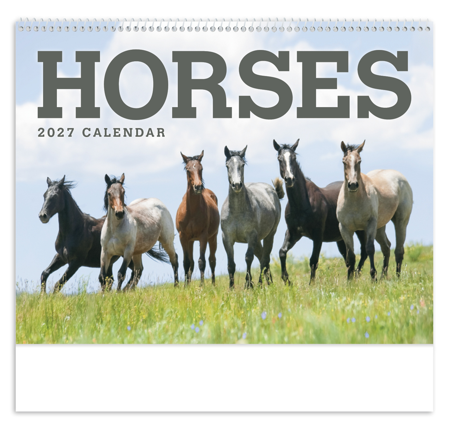 Horses Calendar