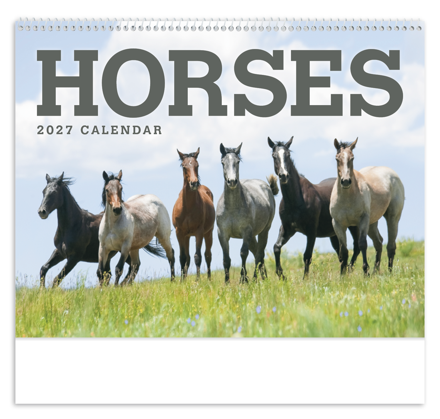 Horses Calendar
