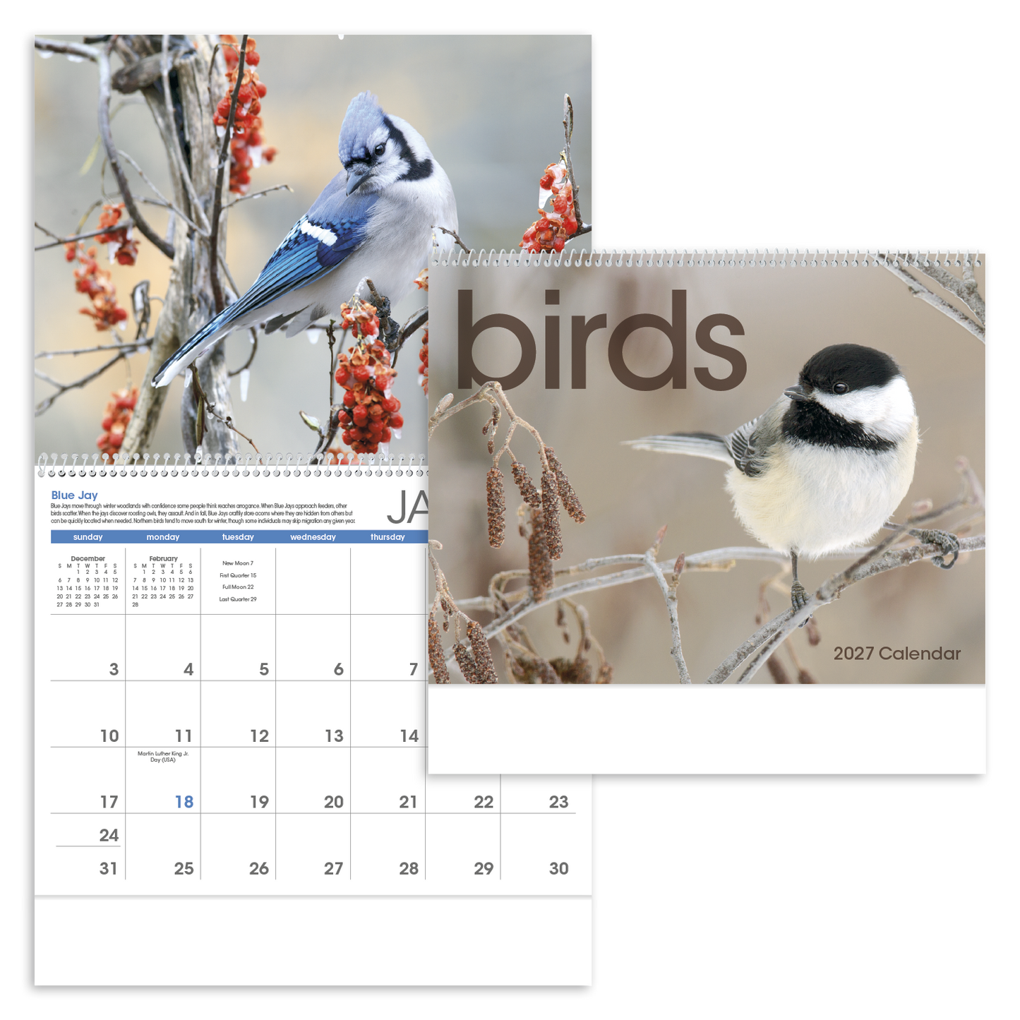 Birds Calendar