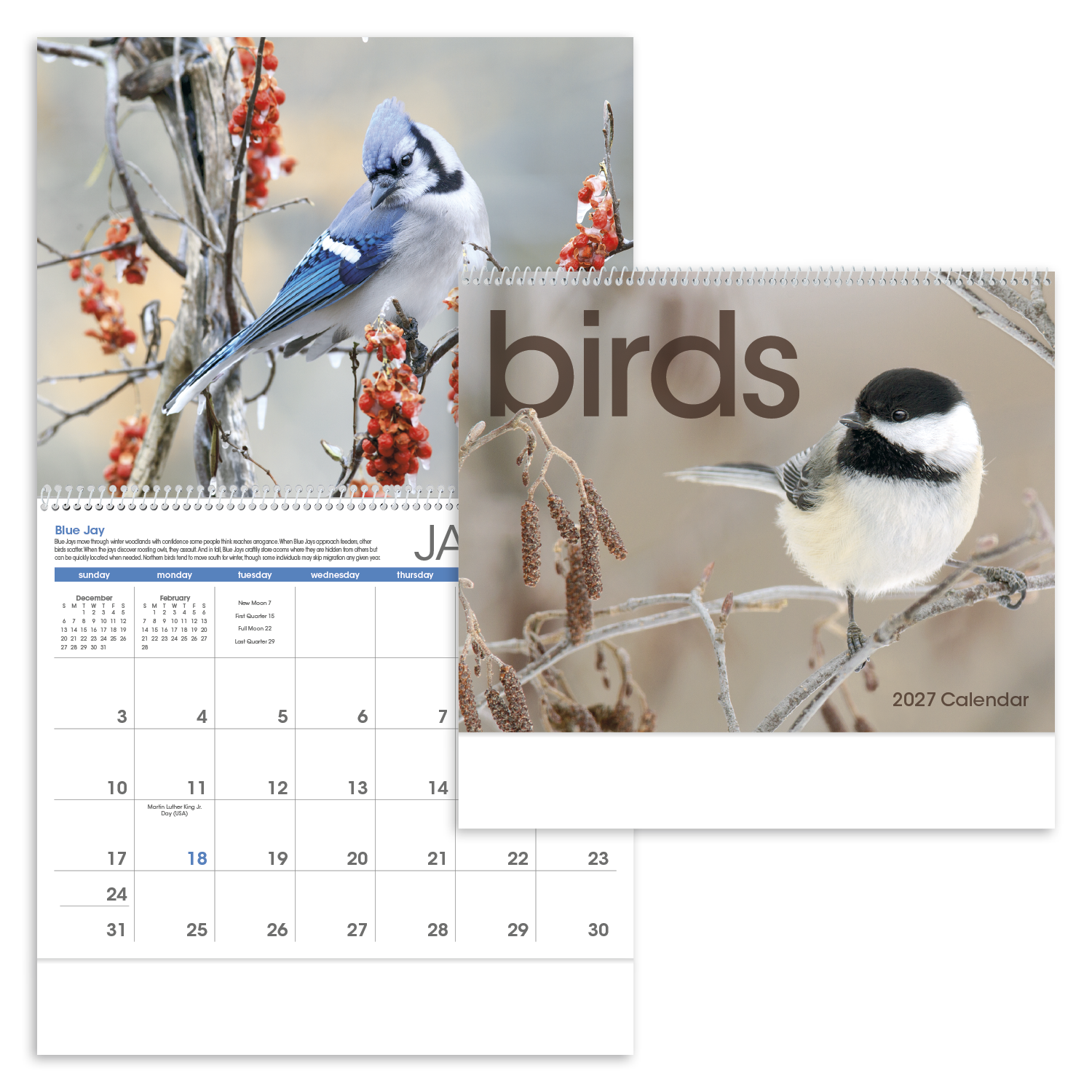 Birds Calendar