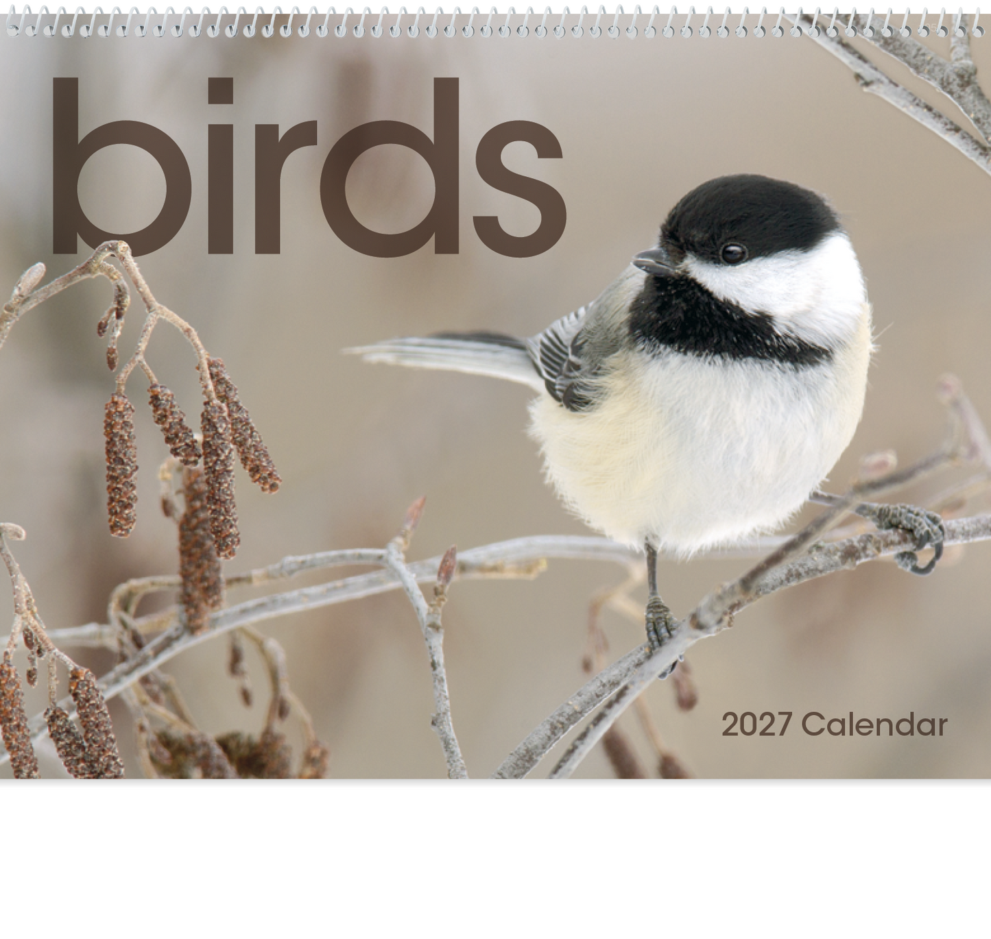 Birds Calendar
