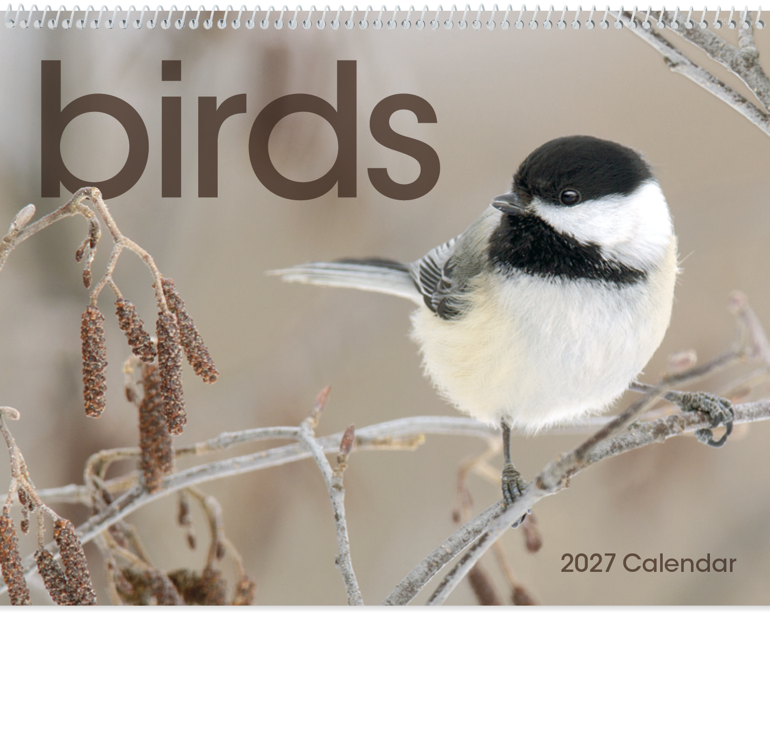 Birds Calendar