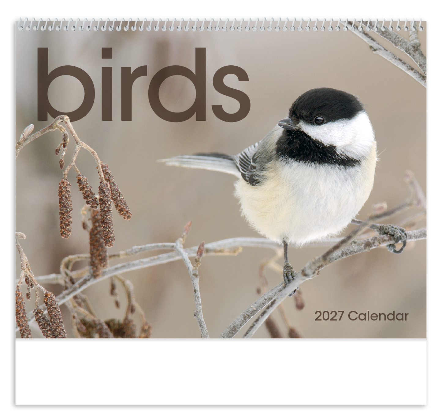Birds Calendar