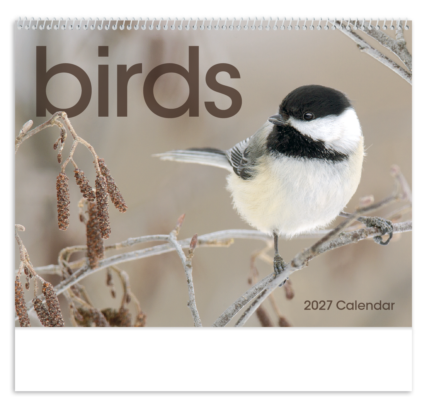 Birds Calendar