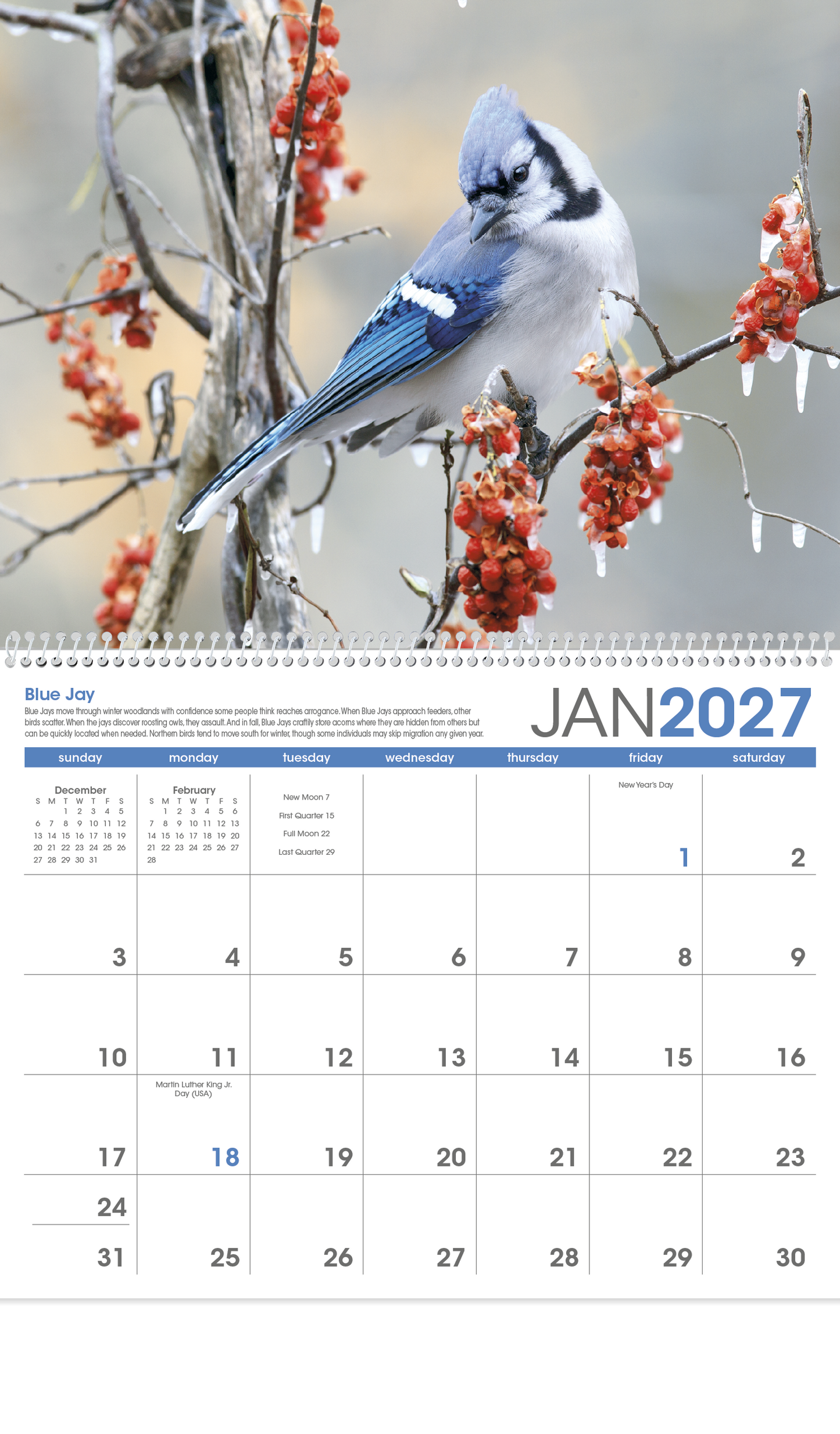 Birds Calendar