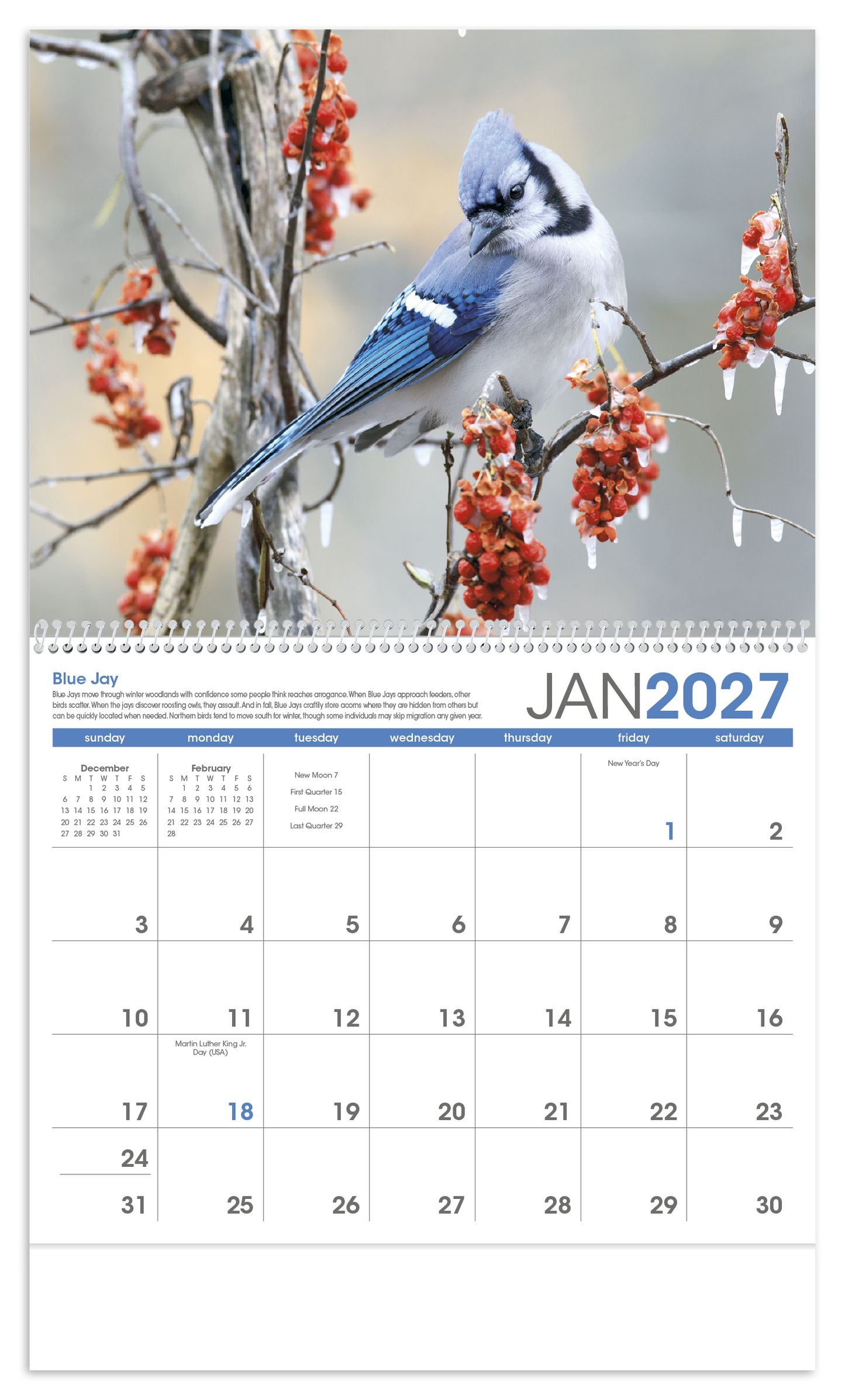 Birds Calendar