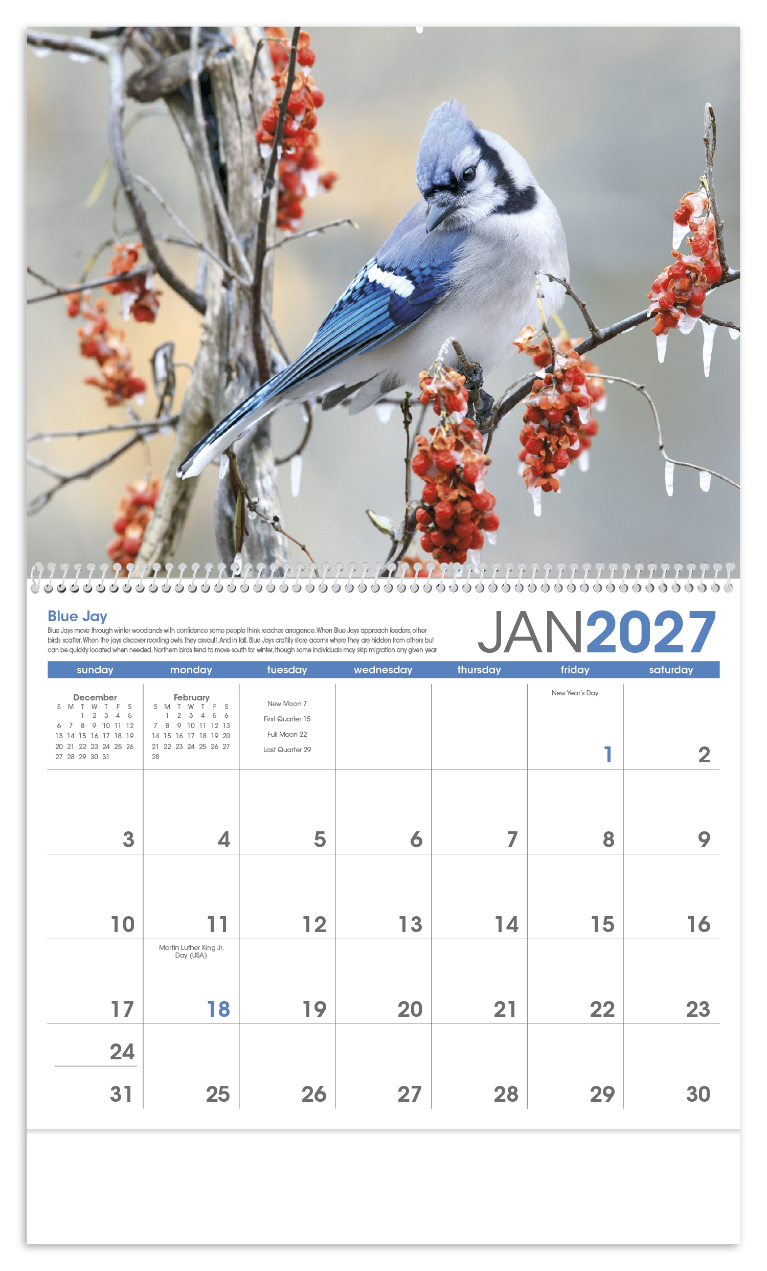 Birds Calendar