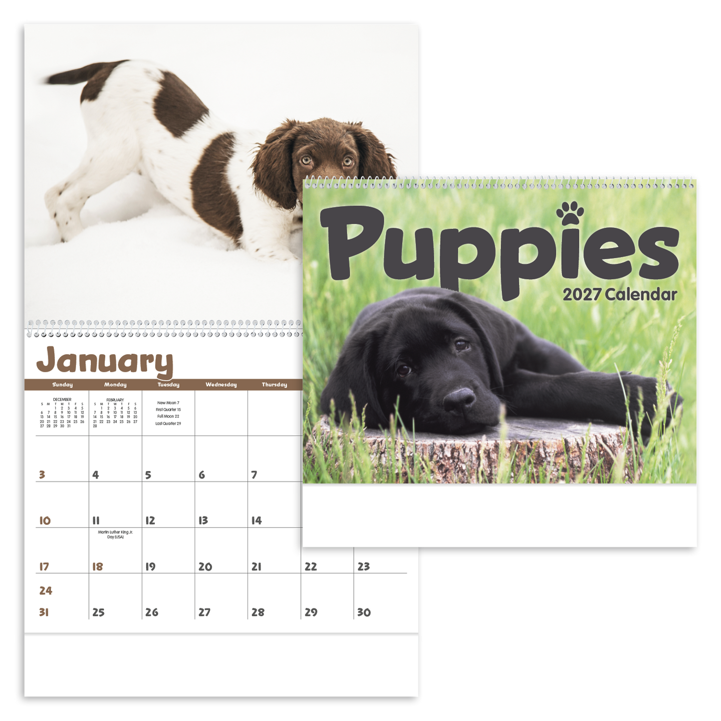 Puppies Calendar