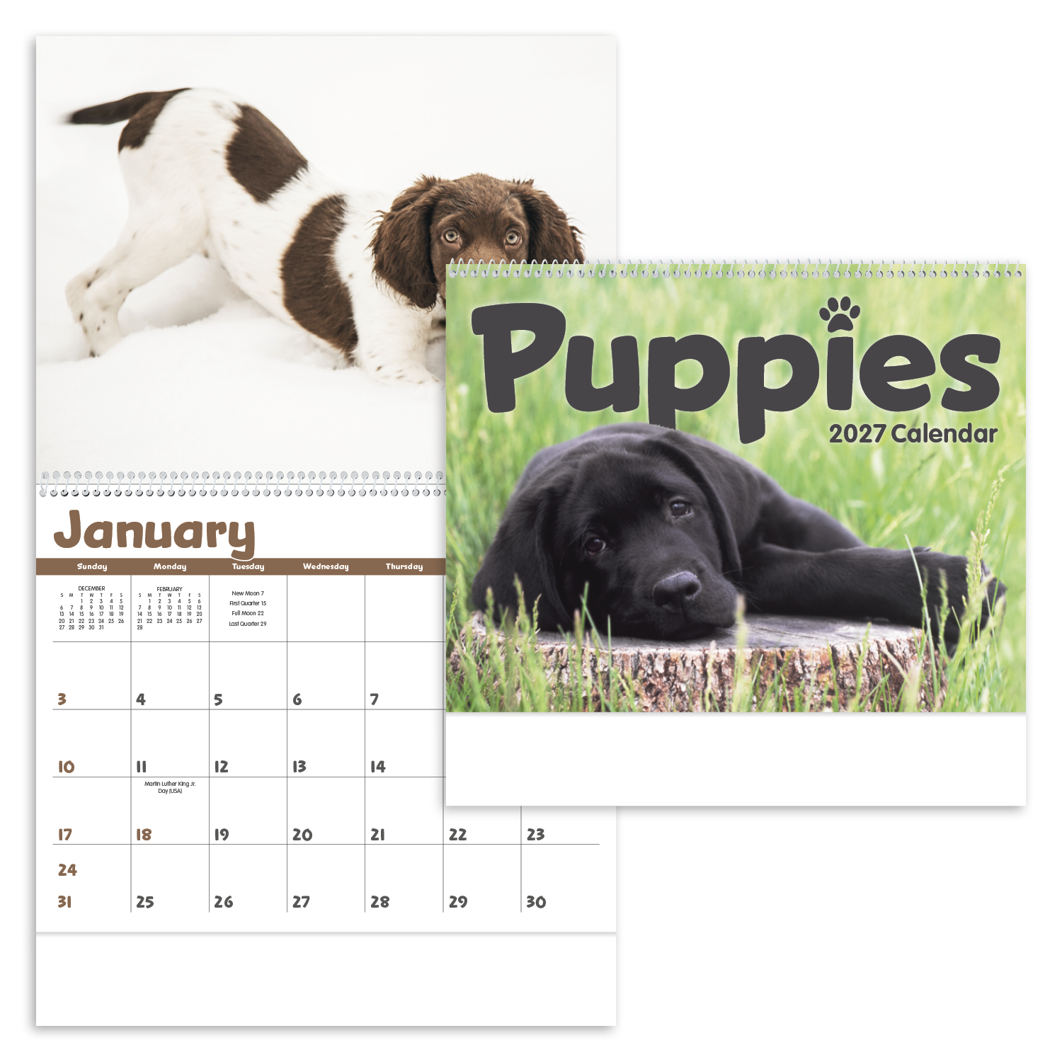 Puppies Calendar