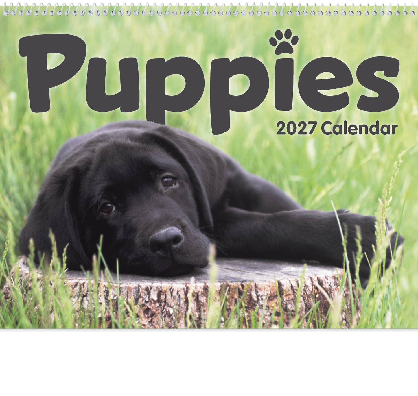 Puppies Calendar