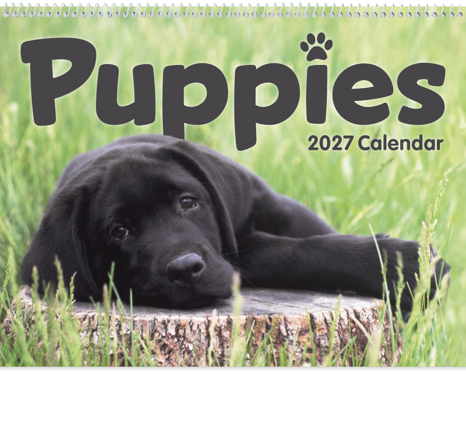 Puppies Calendar