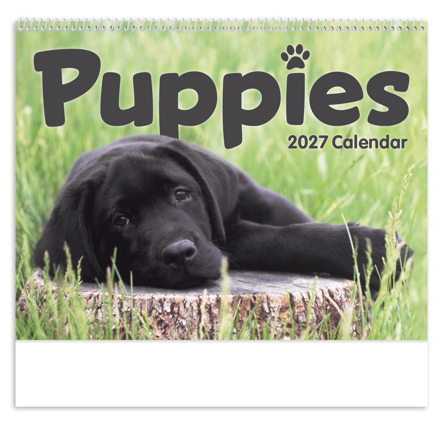 Puppies Calendar