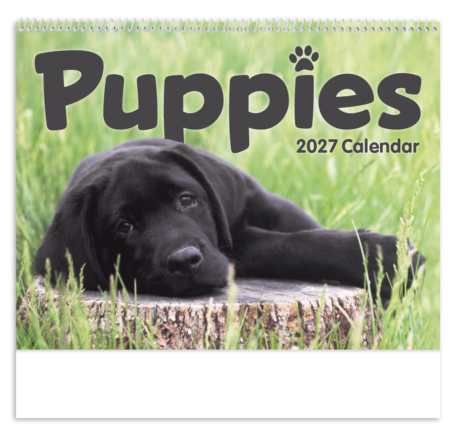 Puppies Calendar