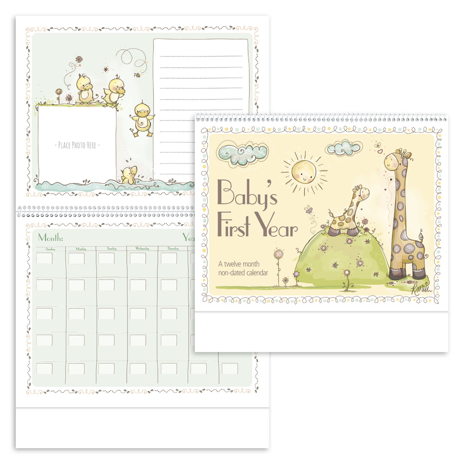 Baby's First Year by Rachelle Anne Miller