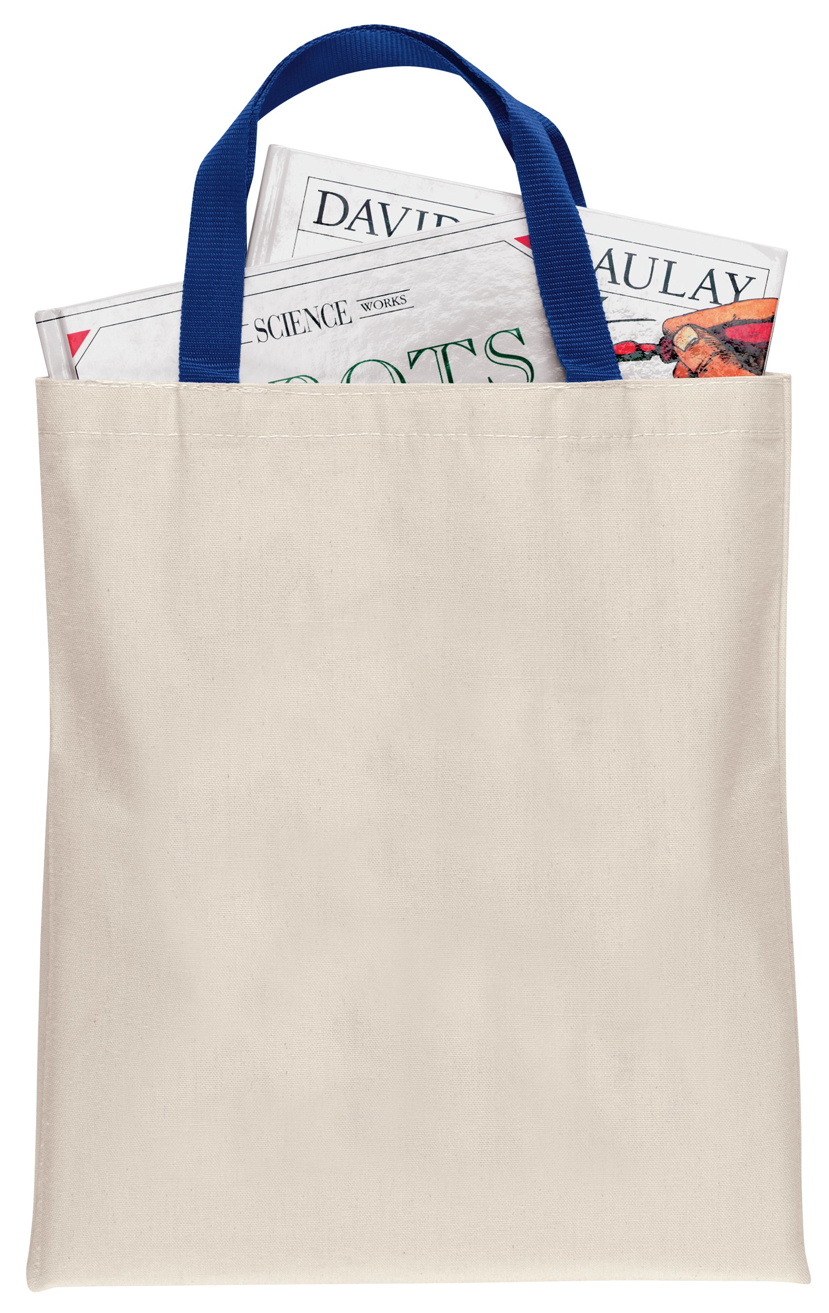 Bargain Bag