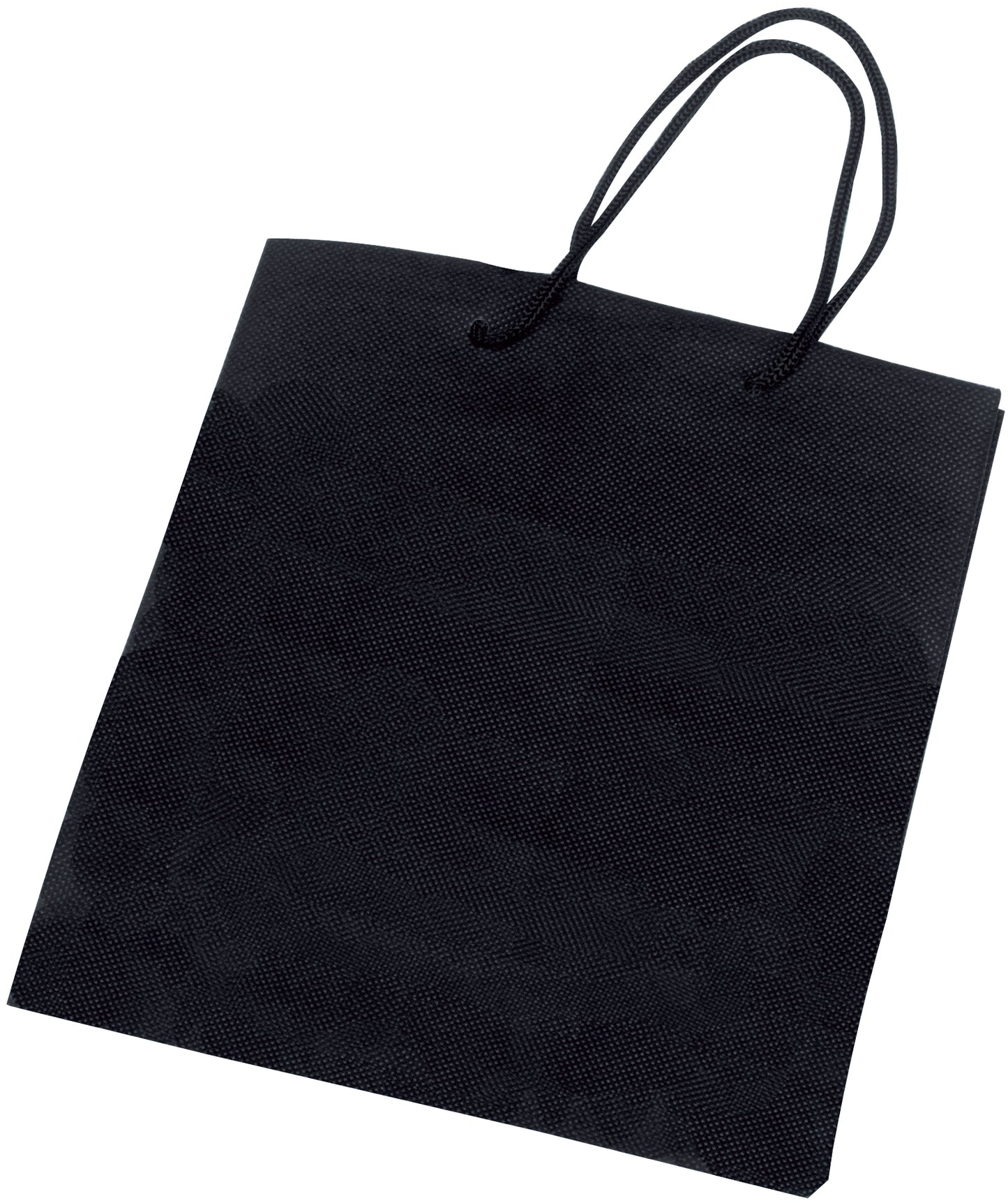 Non-Woven Gift Bag