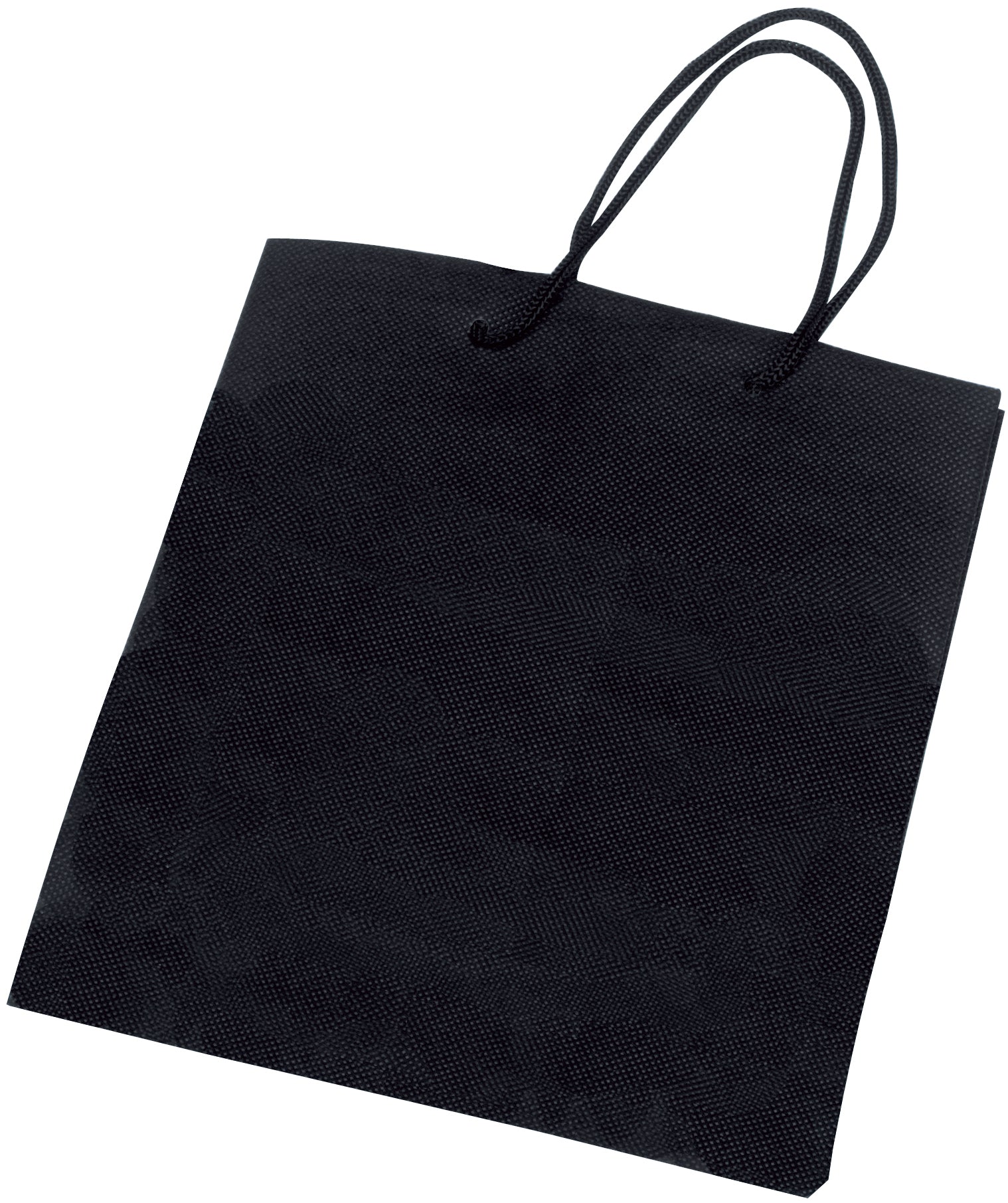 Non-Woven Gift Bag