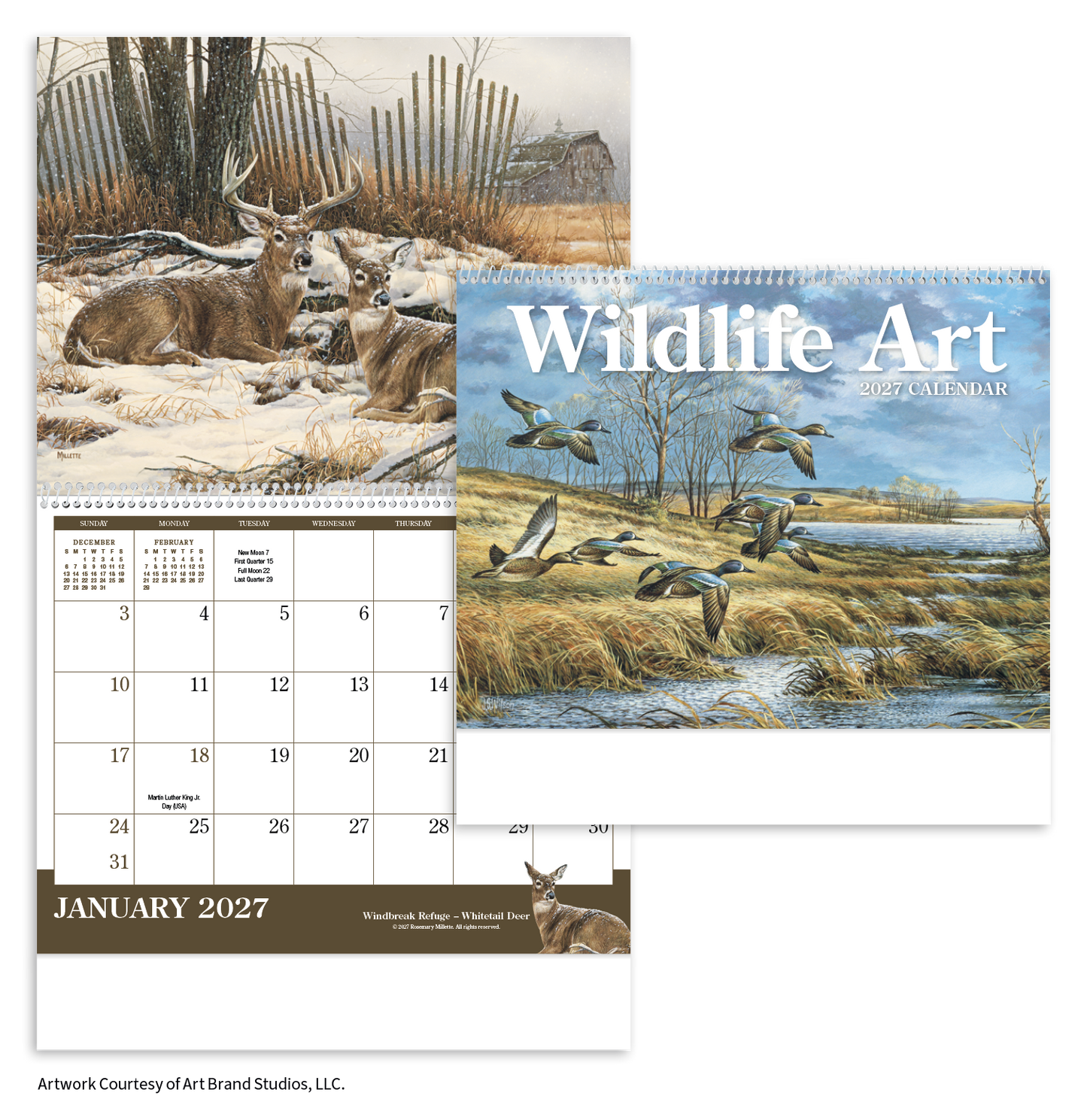 Wildlife Art Calendar