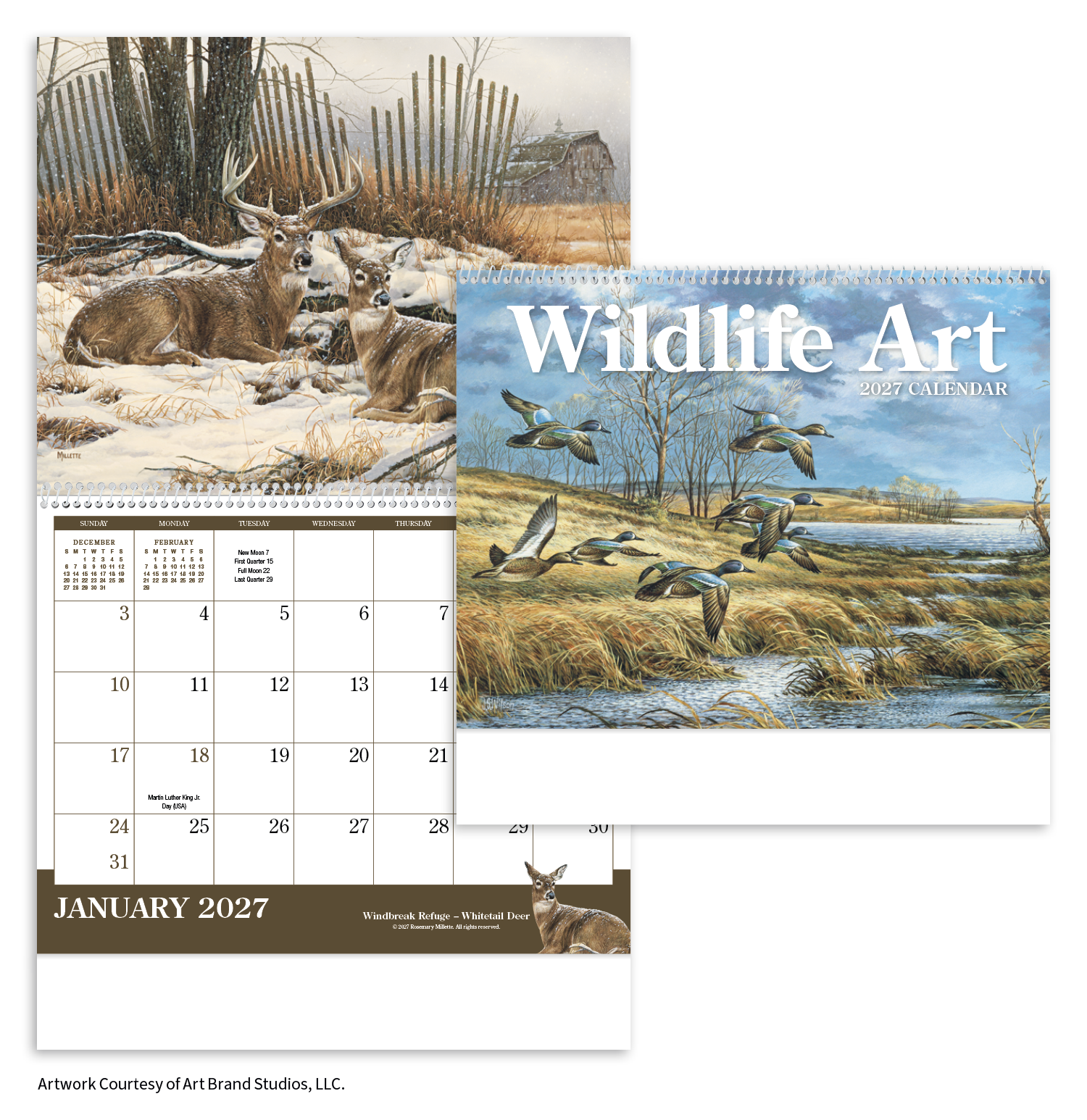 Wildlife Art Calendar