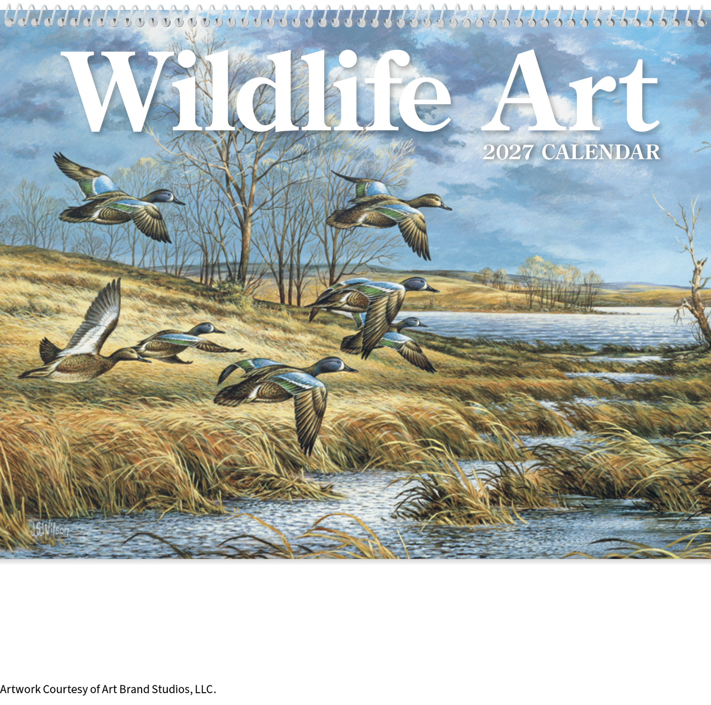 Wildlife Art Calendar
