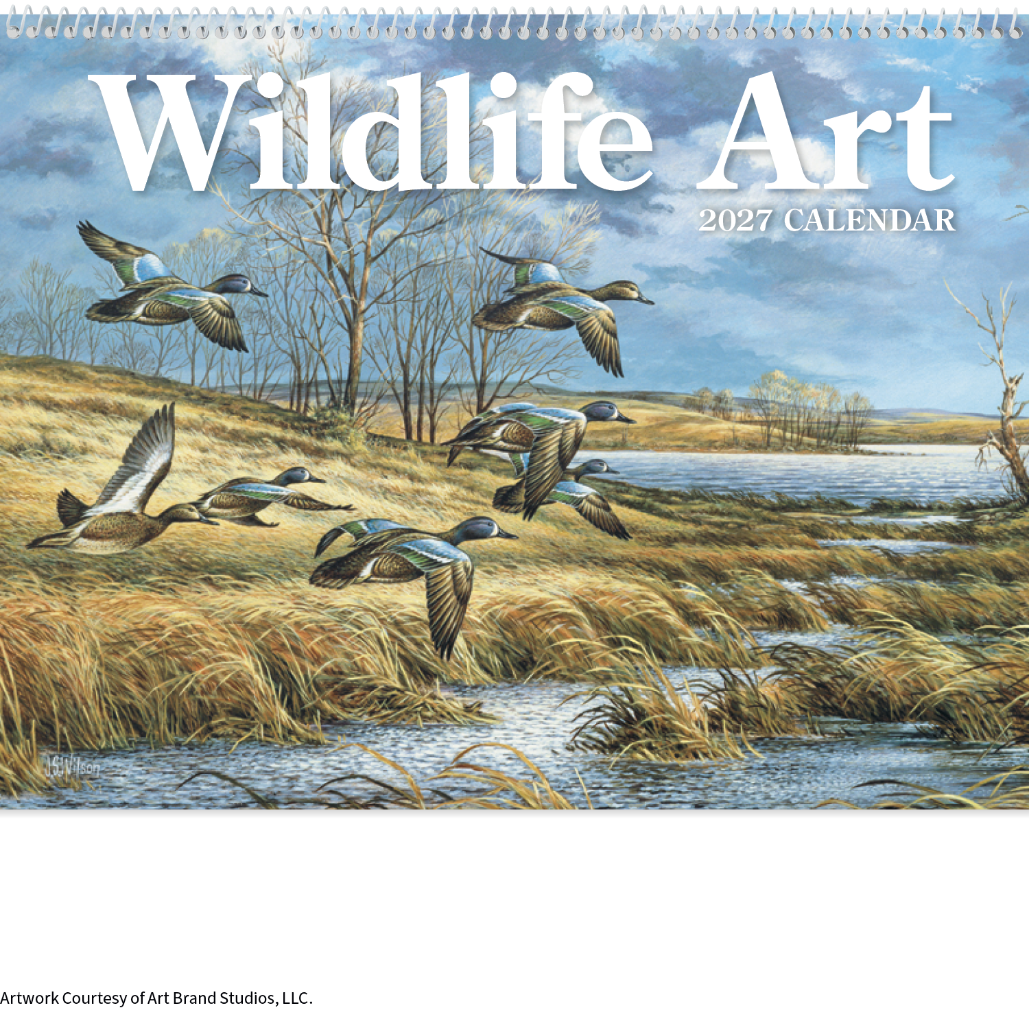 Wildlife Art Calendar