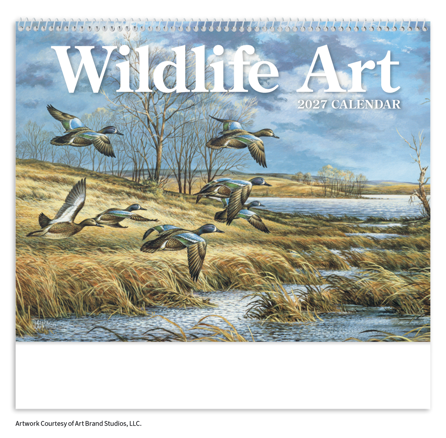 Wildlife Art Calendar