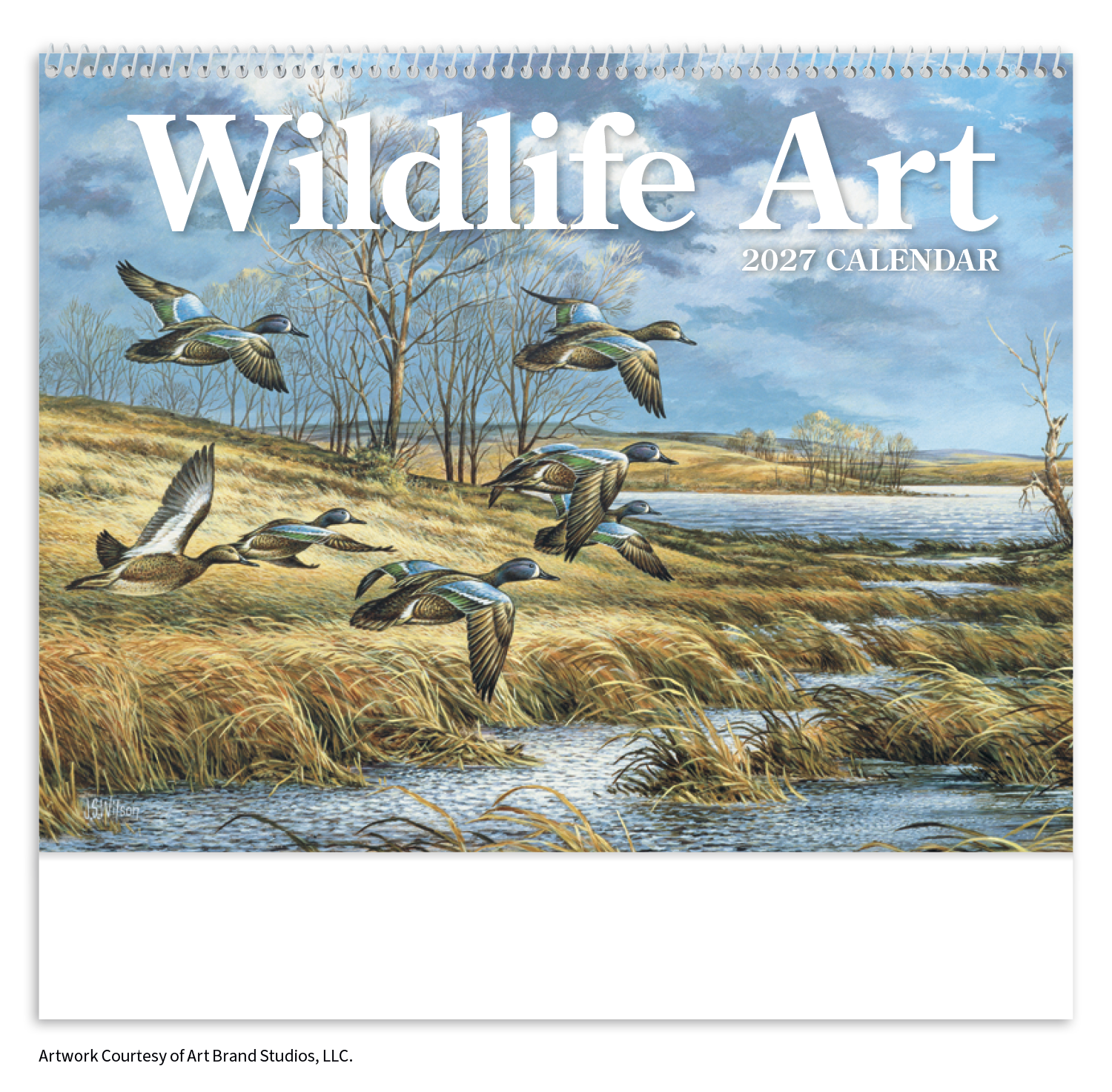 Wildlife Art Calendar