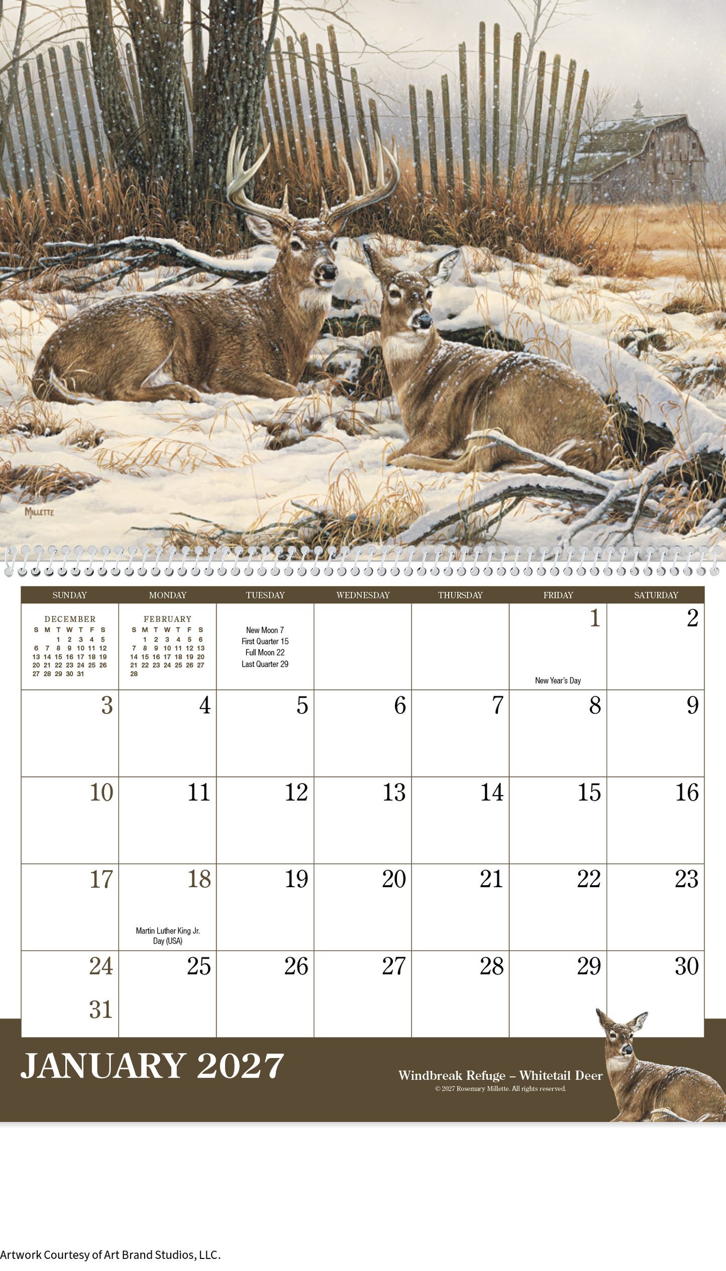 Wildlife Art Calendar