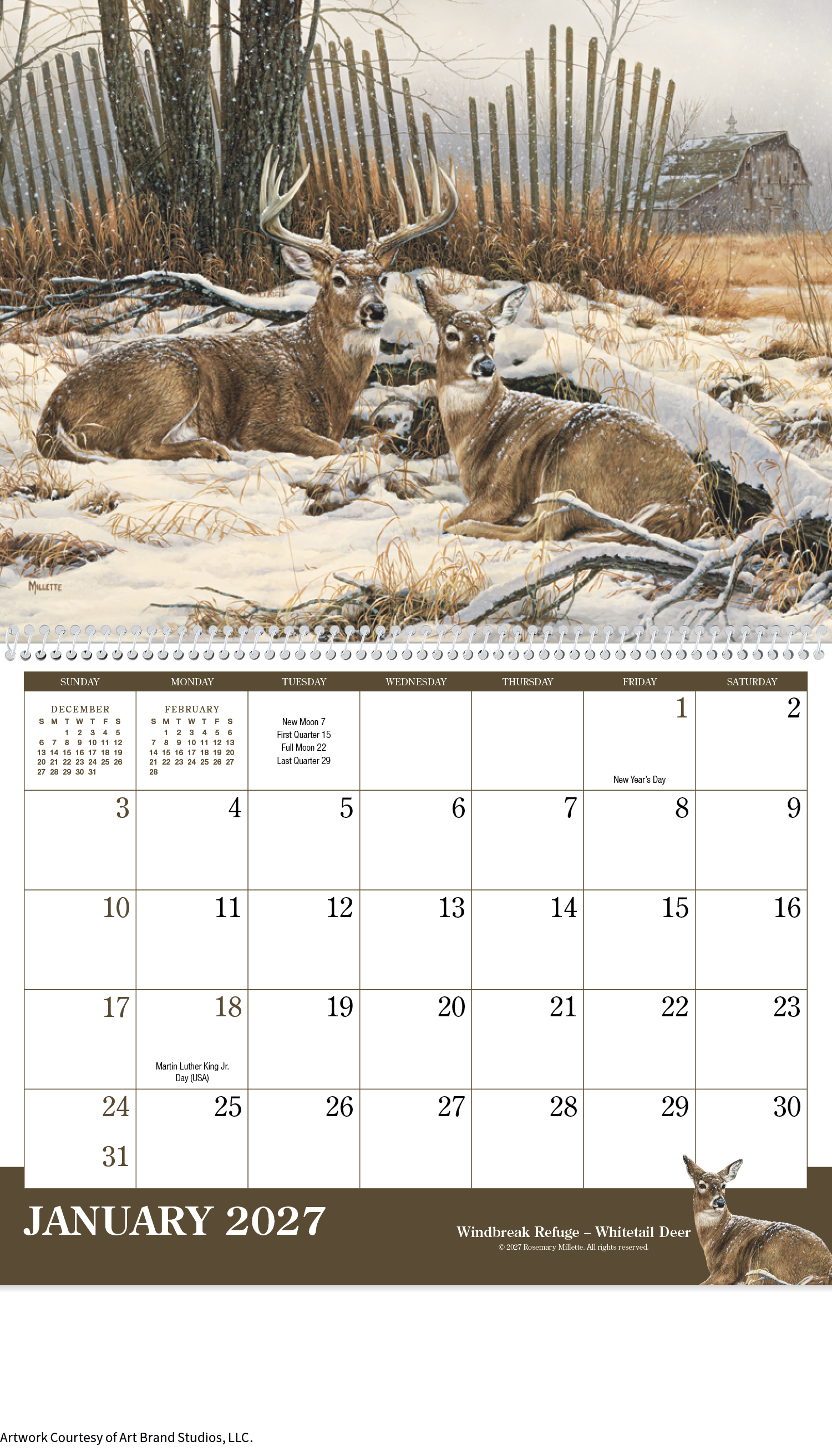 Wildlife Art Calendar