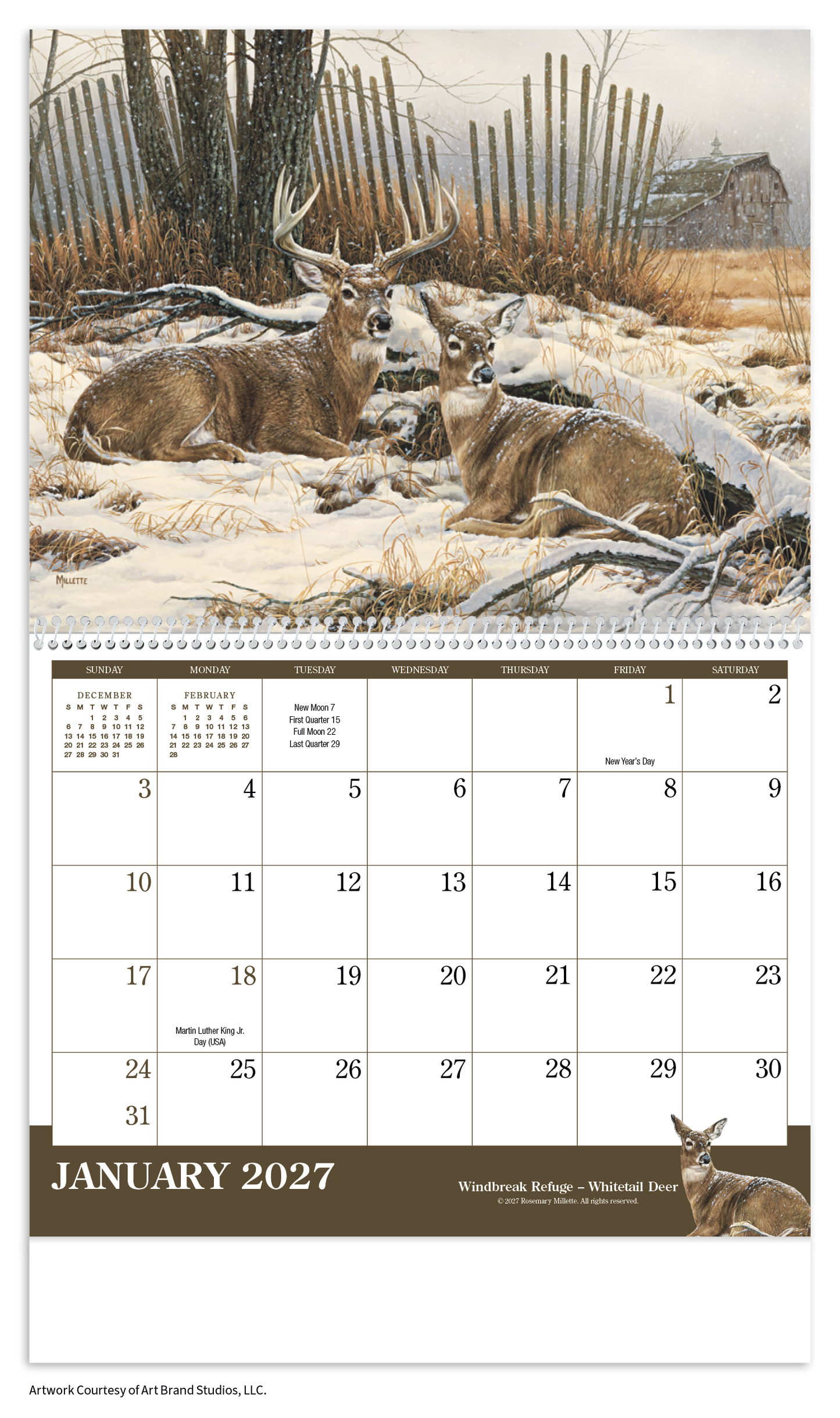 Wildlife Art Calendar