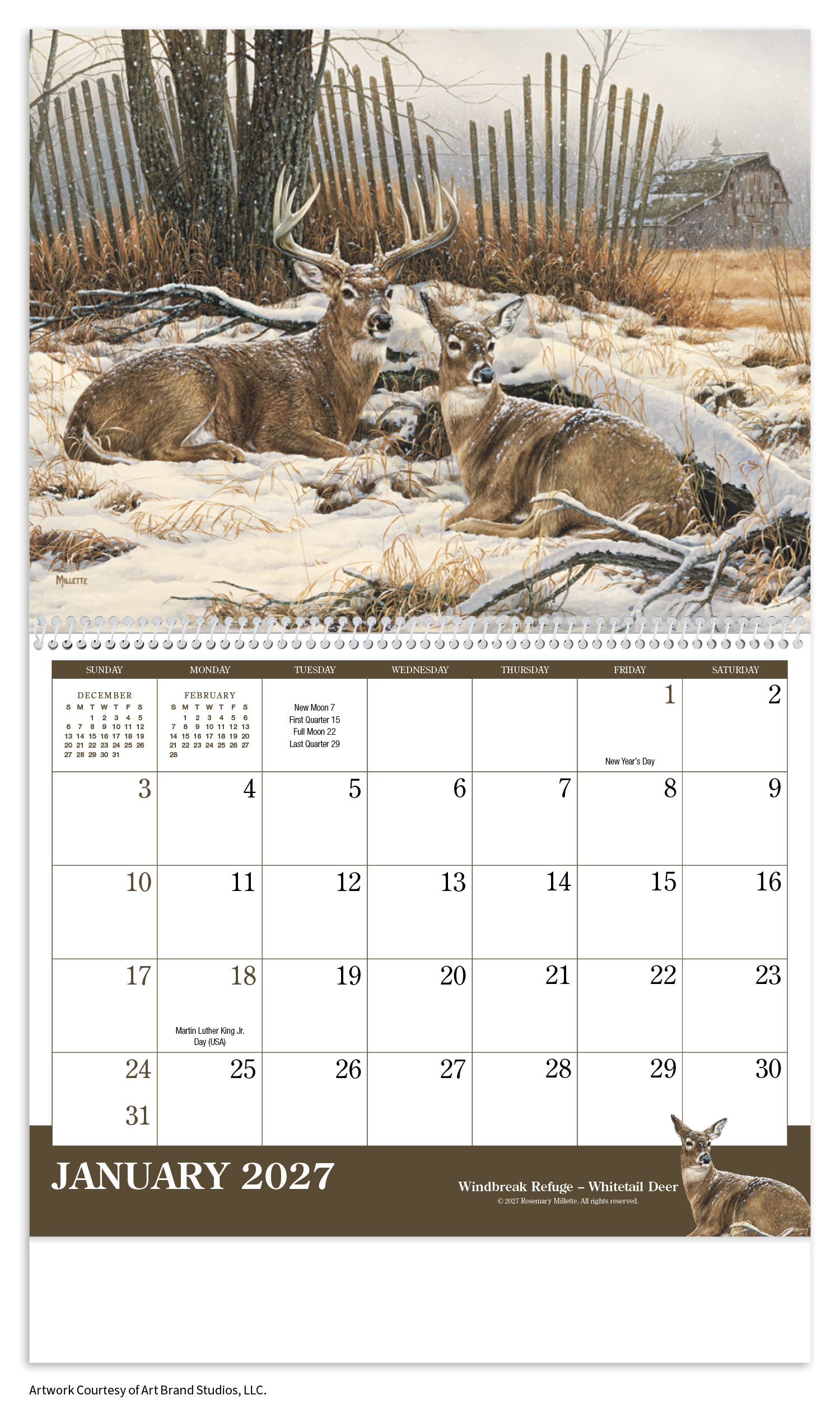 Wildlife Art Calendar