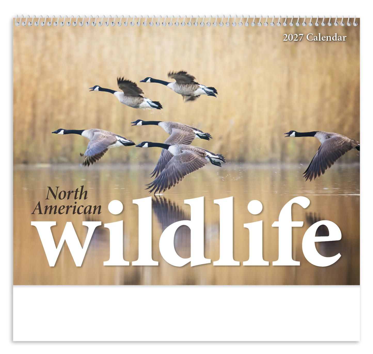 North American Wildlife Calendar